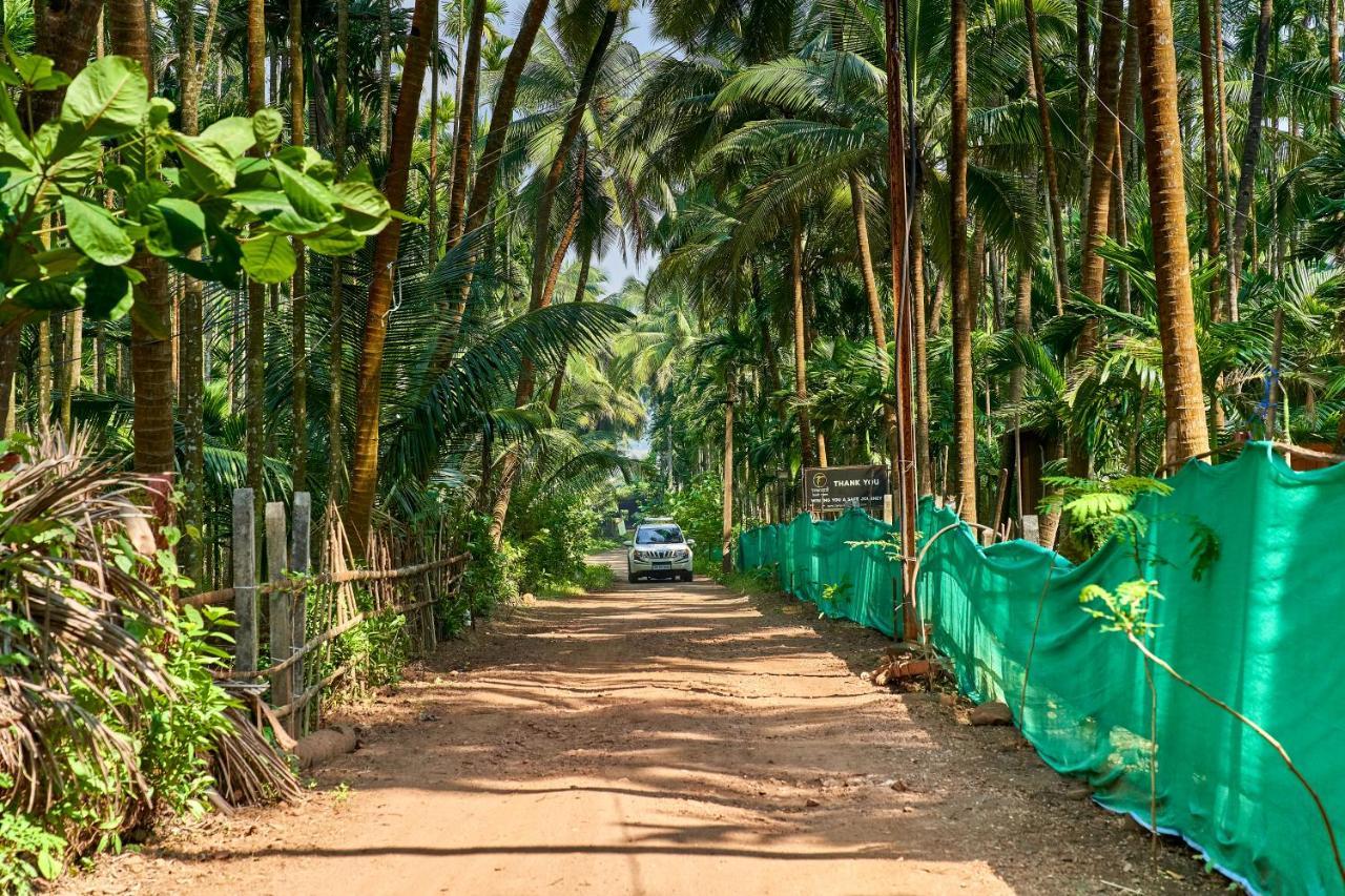 Tranquil Beach Resort Harihareshwar المظهر الخارجي الصورة